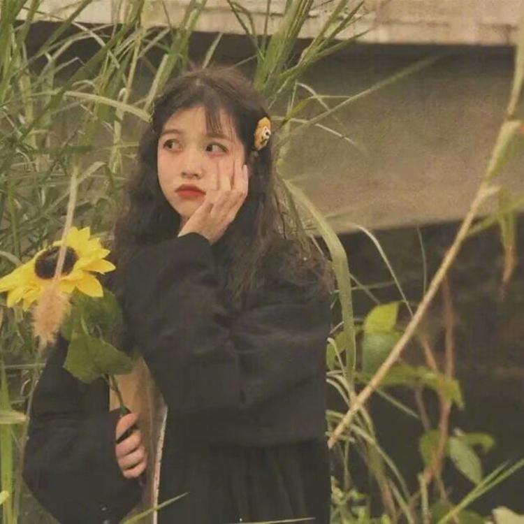 松见真一 - 独立电影小众在线观看 - 网络追剧